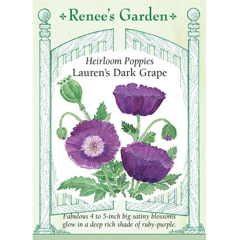 Front of Lauren's Dark Grape Heirloom Poppy seed packet