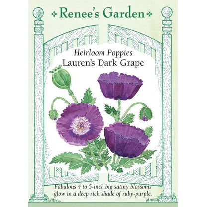 Front of Lauren's Dark Grape Heirloom Poppy seed packet