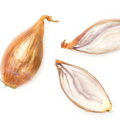 Organic Grey Shallots for Planting | Annie's Annuals Garlic Grow Organic and Perennials