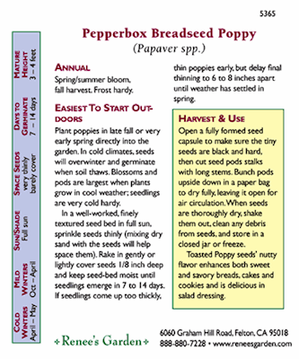 Pepperbox Poppy Seeds Flower Seeds Renee's Garden and Perennials
