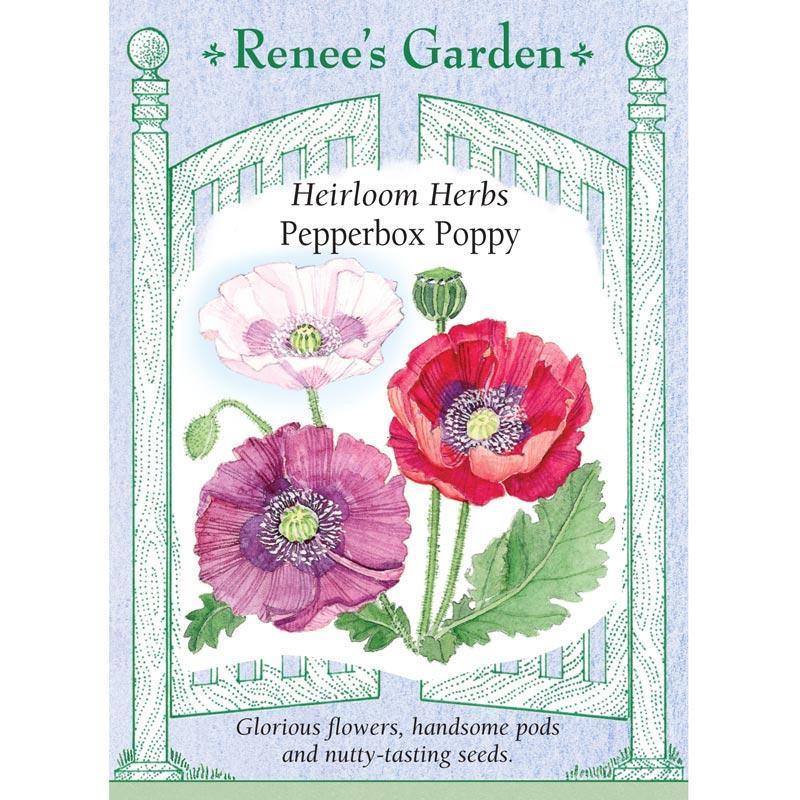 Pepperbox Poppy Seeds Flower Seeds Renee's Garden and Perennials