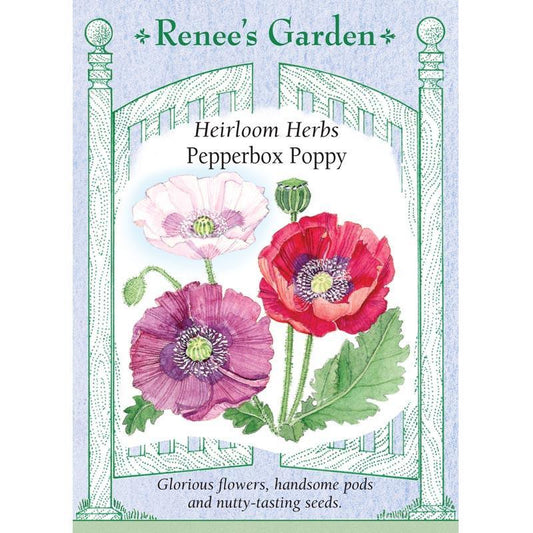 Pepperbox Poppy Seeds Flower Seeds Renee's Garden and Perennials