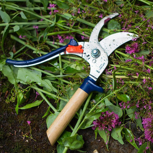 Opinel Hand Pruners Blue Tools Annie's Annuals and Perennials