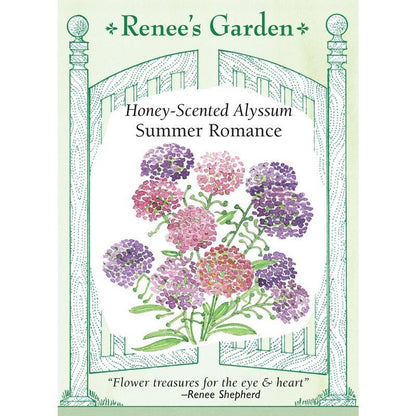 Front of ‘Summer Romance’ Honey-Scented Alyssum seed packet