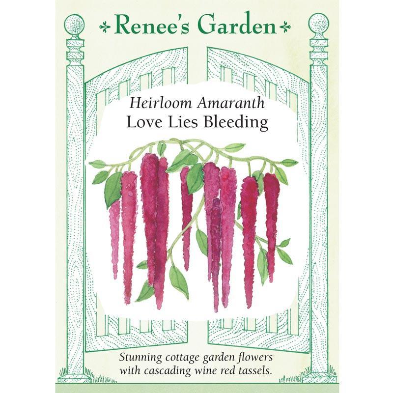 Love Lies Bleeding Heirloom Amaranth Seeds Flower Seeds Renee's Garden and Perennials