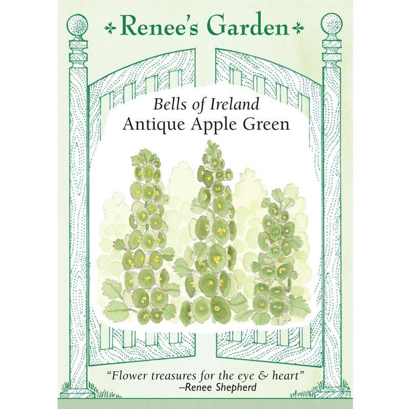 Antique Apple Green Bells of Ireland Seeds Flower Seeds Renee's Garden and Perennials