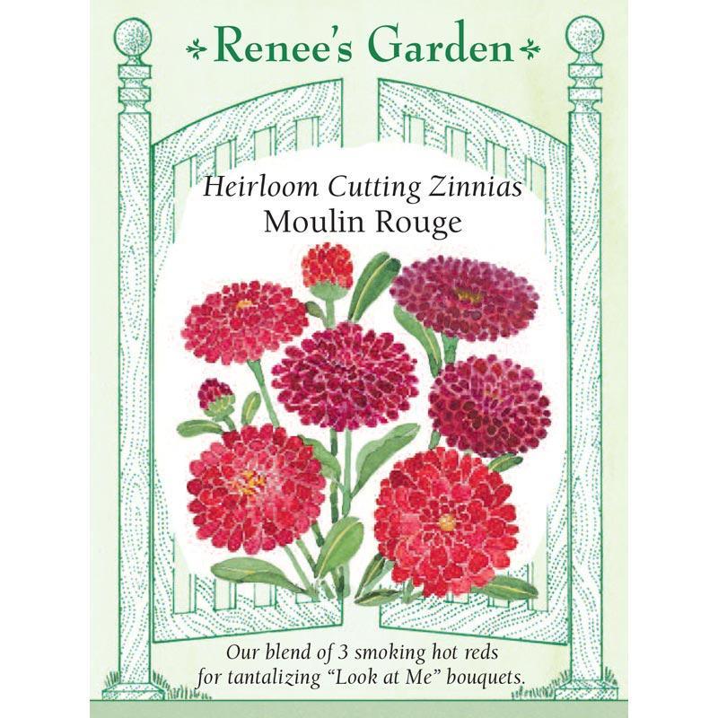 Moulin Rouge Heirloom Zinnia Seeds Flower Seeds Renee's Garden and Perennials