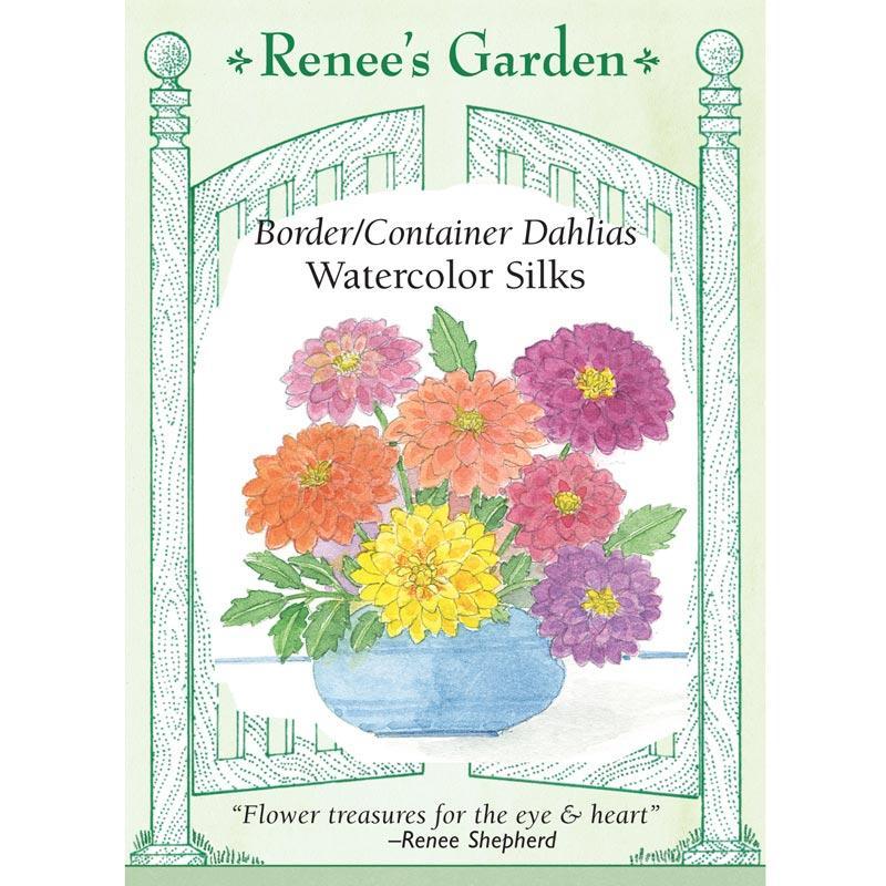 Watercolor Silks Border and Container Dahlia Seeds Flower Seeds Renee's Garden and Perennials