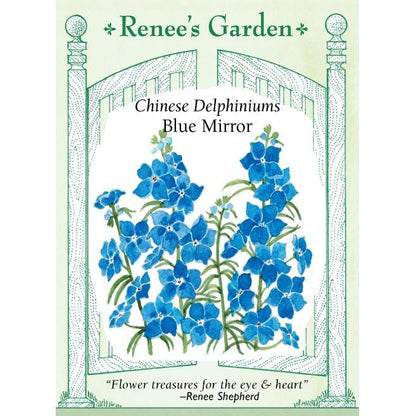 Heirloom Blue Mirror Chinese Delphinium Seeds Flower Seeds Renee's Garden and Perennials