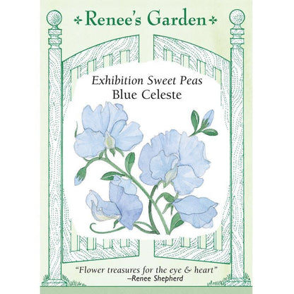 Front of Blue Celeste Exhibition Sweet Pea seed packet