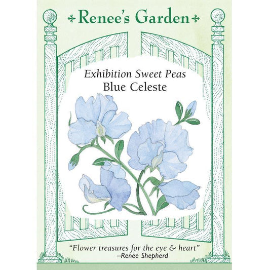 Front of Blue Celeste Exhibition Sweet Pea seed packet