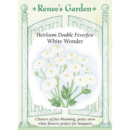 White Wonder Heirloom Double Feverfew Seeds Flower Seeds Renee's Garden and Perennials