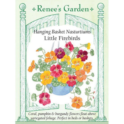 Little Firebirds Hanging Basket Nasturtium Seeds Flower Seeds Renee's Garden and Perennials