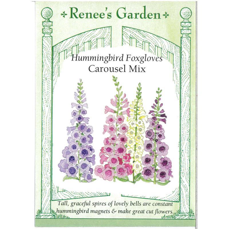 Carousel Mix Hummingbird Foxglove Seeds Flower Seeds Renee's Garden and Perennials