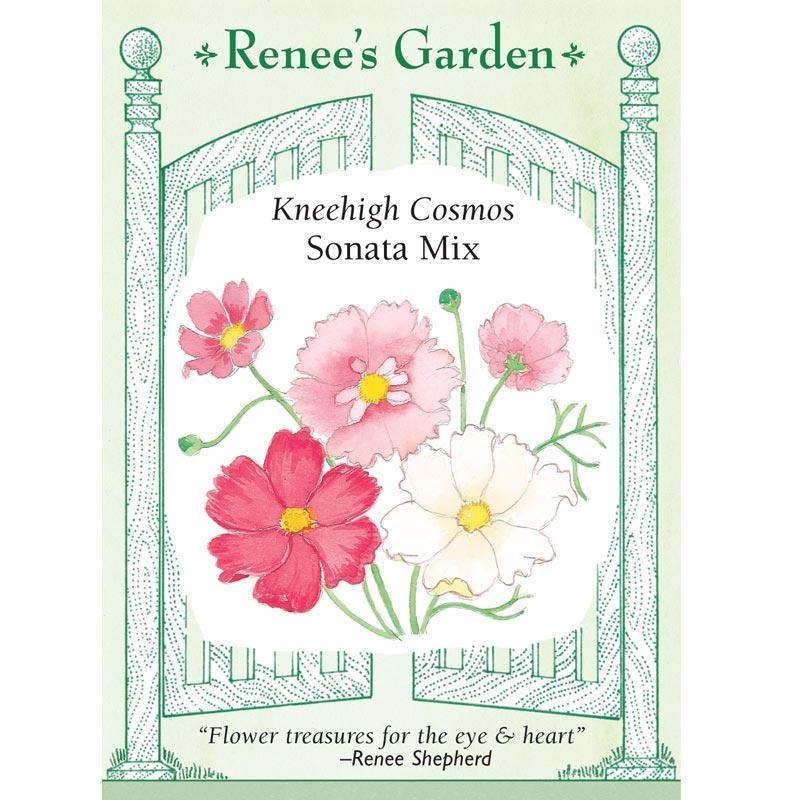 Sonata Mix Kneehigh Cosmos Seeds Flower Seeds Renee's Garden and Perennials