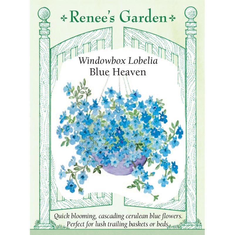 Blue Heaven Windowbox Lobelia Seeds Flower Seeds Renee's Garden and Perennials