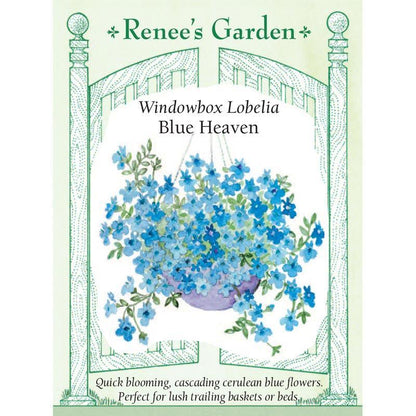 Blue Heaven Windowbox Lobelia Seeds Flower Seeds Renee's Garden and Perennials