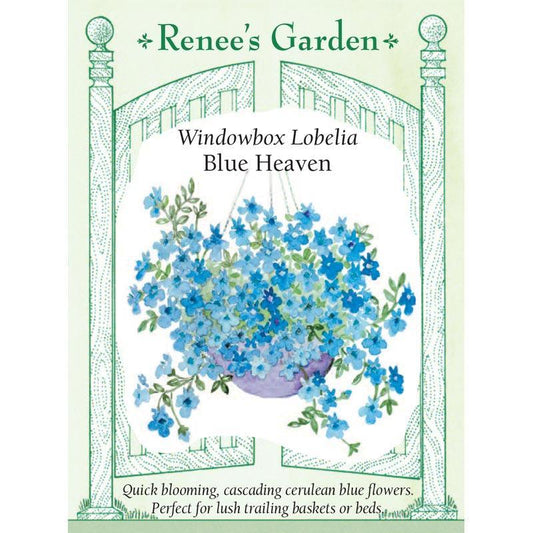 Blue Heaven Windowbox Lobelia Seeds Flower Seeds Renee's Garden and Perennials