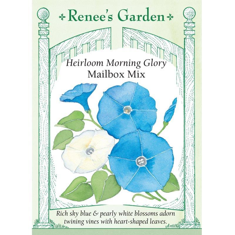 Mailbox Mix Heirloom Morning Glory Seeds Flower Seeds Renee's Garden and Perennials