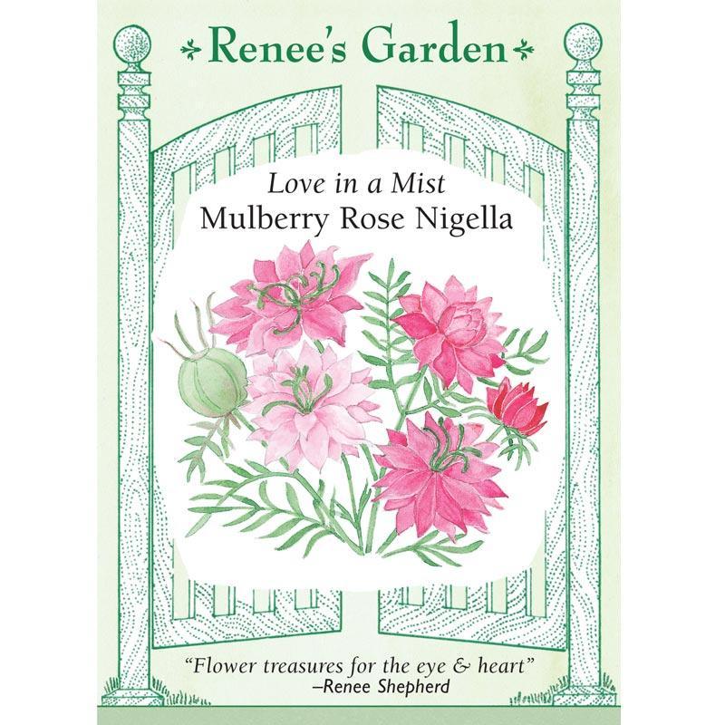 Mulberry Rose Love In A Mist Nigella Seeds Flower Seeds Renee's Garden and Perennials