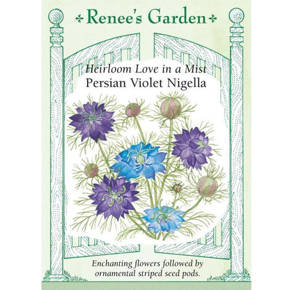 Persian Violet Love In A Mist Nigella Seeds Flower Seeds Renee's Garden and Perennials