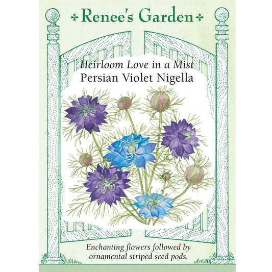 Persian Violet Love In A Mist Nigella Seeds Flower Seeds Renee's Garden and Perennials