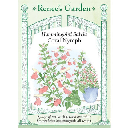 Coral Nymph Hummingbird Salvia Seeds Flower Seeds Renee's Garden and Perennials