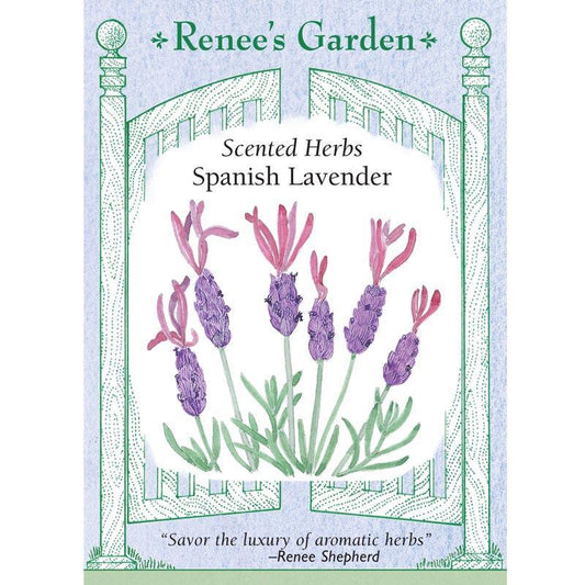 Front of Purple Ribbons Spanish Lavender seed packet