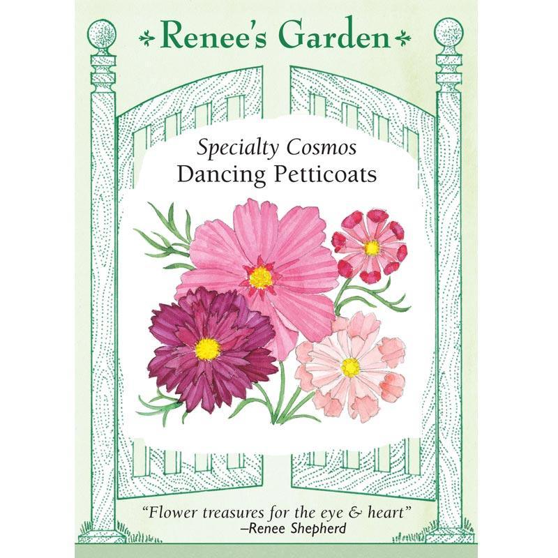 Dancing Petticoats Specialty Cosmos Seeds Flower Seeds Renee's Garden and Perennials