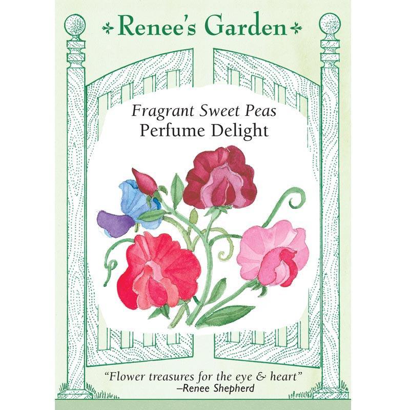 Perfume Delight Heirloom Sweet Pea Seeds Flower Seeds Renee's Garden and Perennials