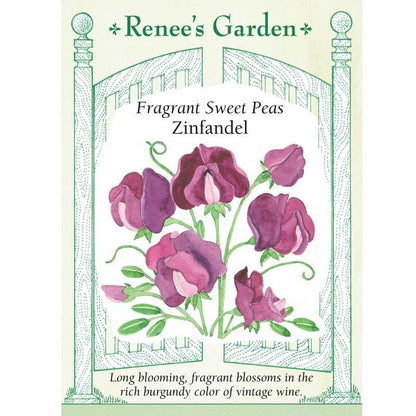 Zinfandel Fragrant Sweet Pea Seeds Flower Seeds Renee's Garden and Perennials