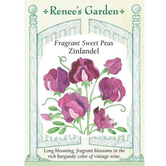 Zinfandel Fragrant Sweet Pea Seeds Flower Seeds Renee's Garden and Perennials