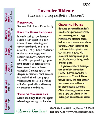 Lavender Hidcote Scented Herb Seeds Flower Seeds Renee's Garden and Perennials