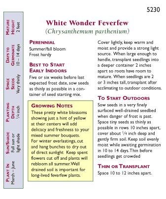White Wonder Heirloom Double Feverfew Seeds Flower Seeds Renee's Garden and Perennials