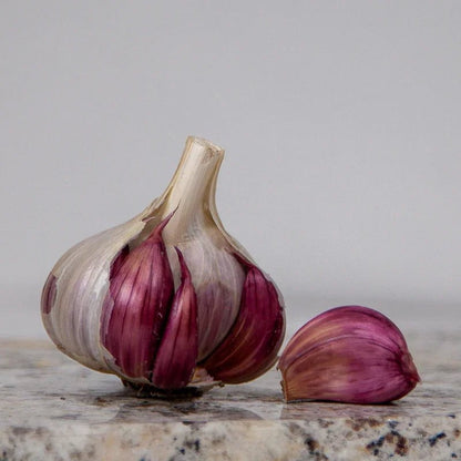 Spanish Roja Garlic for Planting | Annie's Annuals Garlic Grow Organic and Perennials