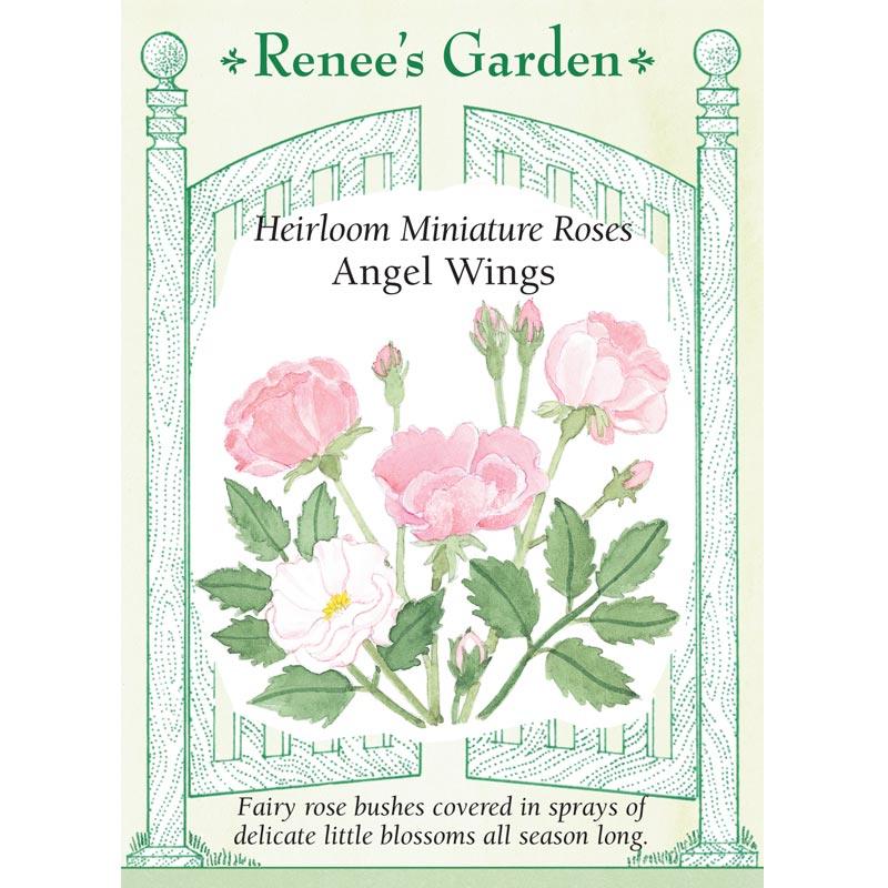 Renee's Garden Angel Wings miniature rose seed packet front