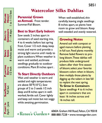 Watercolor Silks Border and Container Dahlia Seeds Flower Seeds Renee's Garden and Perennials