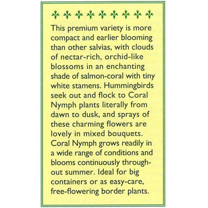 Coral Nymph Hummingbird Salvia Seeds Flower Seeds Renee's Garden and Perennials