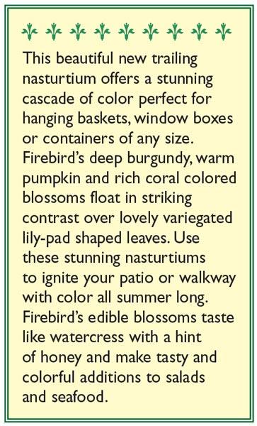 Little Firebirds Hanging Basket Nasturtium Seeds Flower Seeds Renee's Garden and Perennials