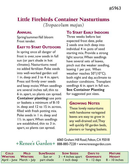 Little Firebirds Hanging Basket Nasturtium Seeds Flower Seeds Renee's Garden and Perennials