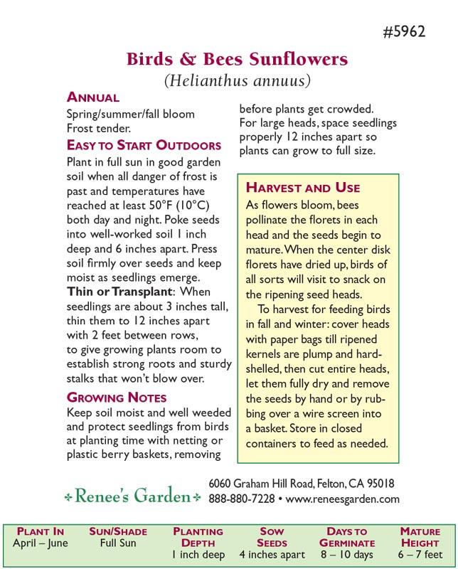 The Birds & Bees Pollinator Sunflower Seeds Flower Seeds Renee's Garden and Perennials