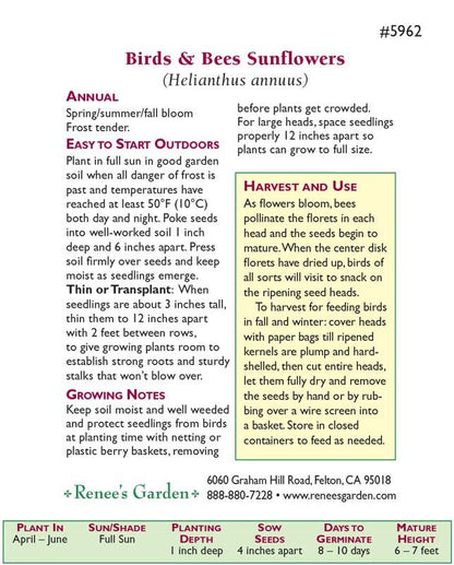 The Birds & Bees Pollinator Sunflower Seeds Flower Seeds Renee's Garden and Perennials