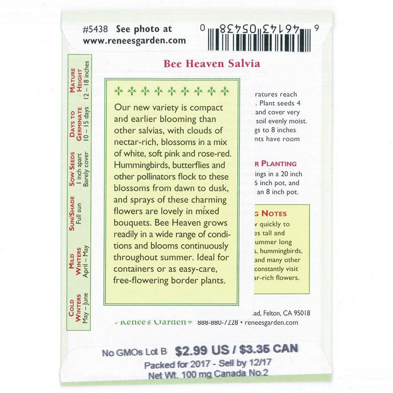 Bee Heaven Container Pollinator Salvia Seeds Flower Seeds Renee's Garden and Perennials