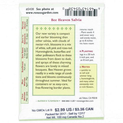 Bee Heaven Container Pollinator Salvia Seeds Flower Seeds Renee's Garden and Perennials