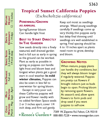 Back of Tropical Sunset California Poppy seed packet with sowing information