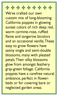 Seed packet information for Tropical Sunset California Poppy