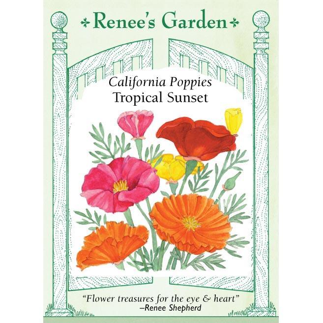 Front of Tropical Sunset California Poppy seed packet